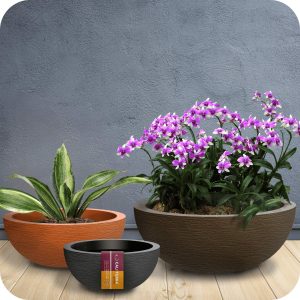 Vasos bacia decor grafiato caliterra