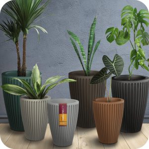 vasos coluna coliseu decor caliterra