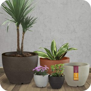 Vasos decor redondo grafiato caliterra
