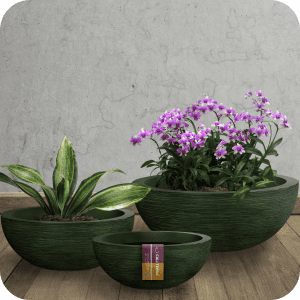 Vasos de Plantas - Bacia Grafiato Prime