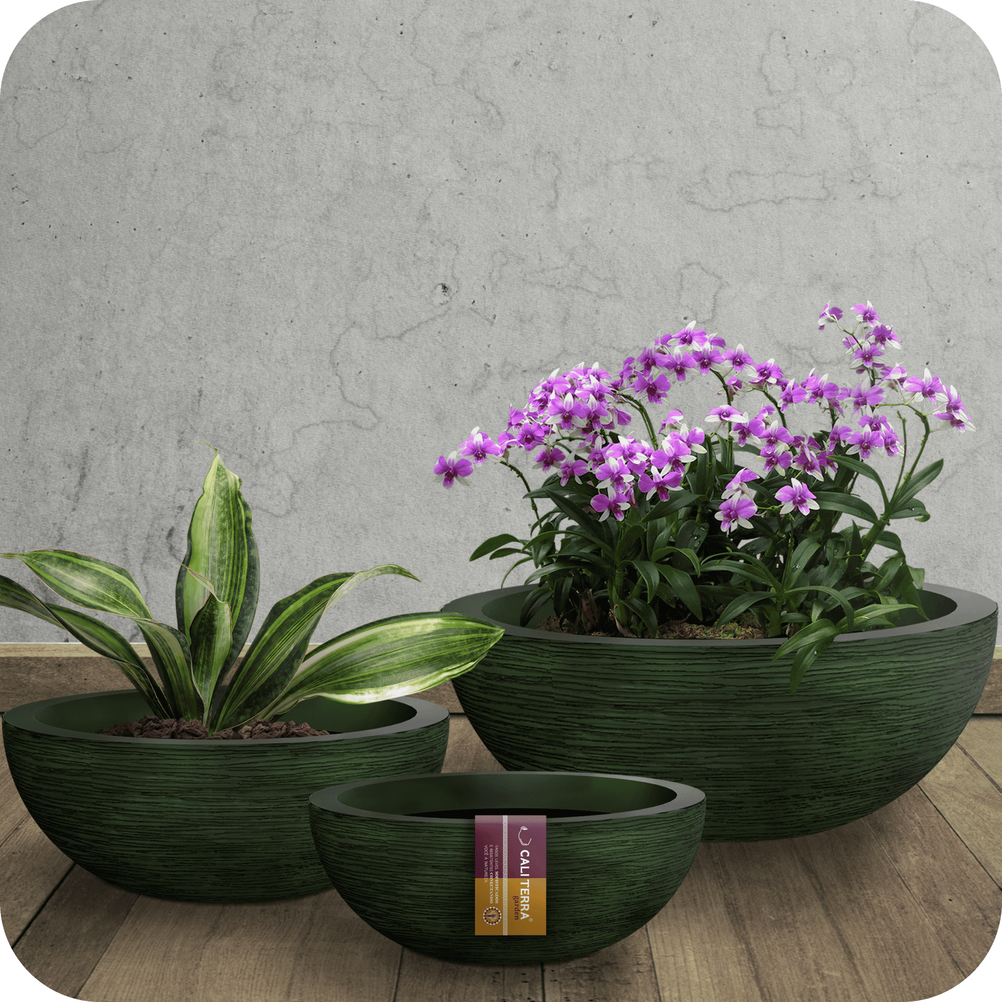 Vasos de Plantas - Bacia Grafiato Prime