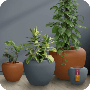 Vasos de Plantas - Vaso Caiapó Decor